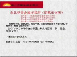 你好,請(qǐng)問(wèn)我要是代理現(xiàn)貨交易平臺(tái),開(kāi)戶(hù)的話(huà),應(yīng)該注冊(cè)什么類(lèi)型的公司比較好 經(jīng)營(yíng)范圍是什么呢