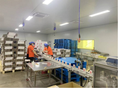 鐵富鎮(zhèn)“僵尸企業(yè)” 活起來(lái)